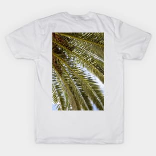 Palm Leaves in the Sun T-Shirt